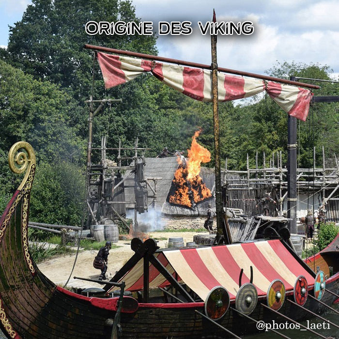 D'où viennent les vikings ?